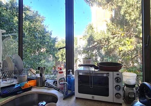 ריינס 6